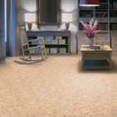 Линолеум Tarkett полукоммерческий Moda 121602 2,5 м, 1 Класс