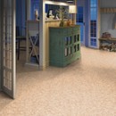 Линолеум Tarkett полукоммерческий Moda 121602 2,5 м, 1 Класс