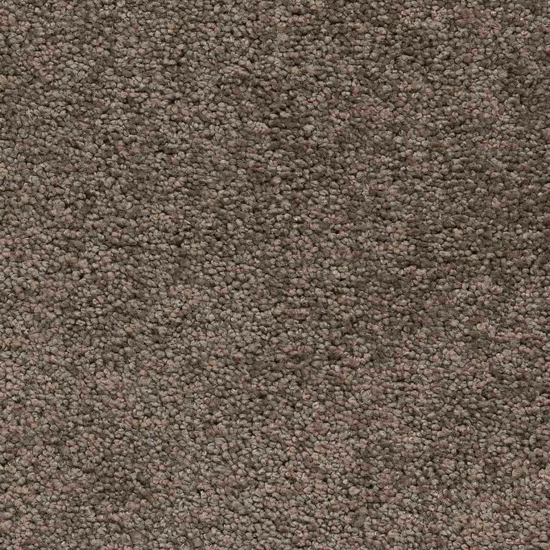 фото Покрытие ковровое aw vigour 44, 4 м, 100 % sdn associated weavers